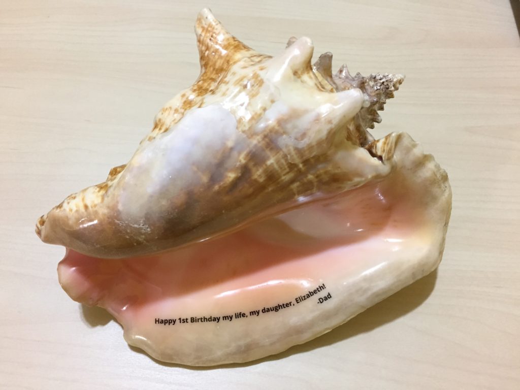sea shell  laser engraving  gifts antiques
